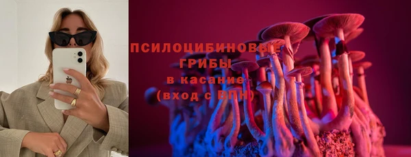 эйфоретик Беломорск